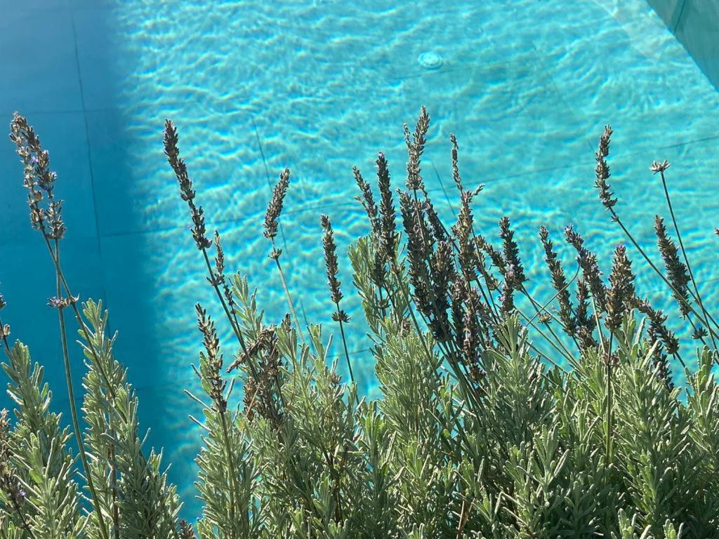 Rosemarine Villas Durrës Kültér fotó